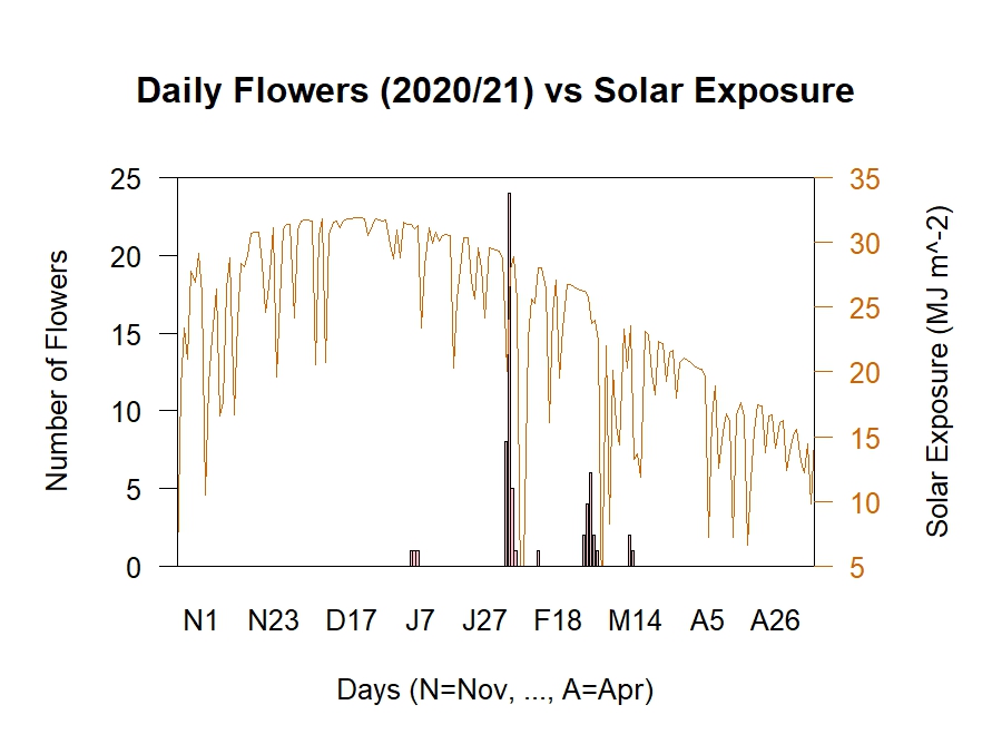 Flowers vs Solar Exposure 2020/21